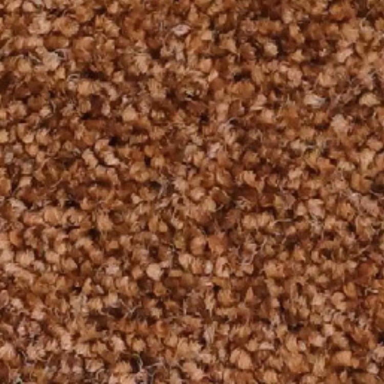 موکت پالاز سری زیبا کد 5103